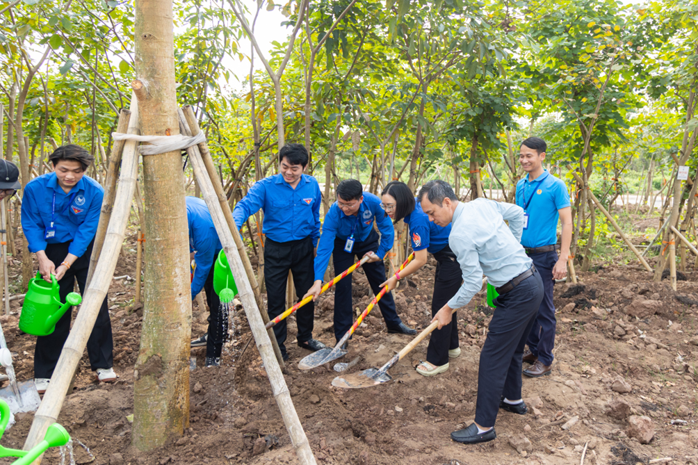 A group of people digging in the dirt Description automatically generated