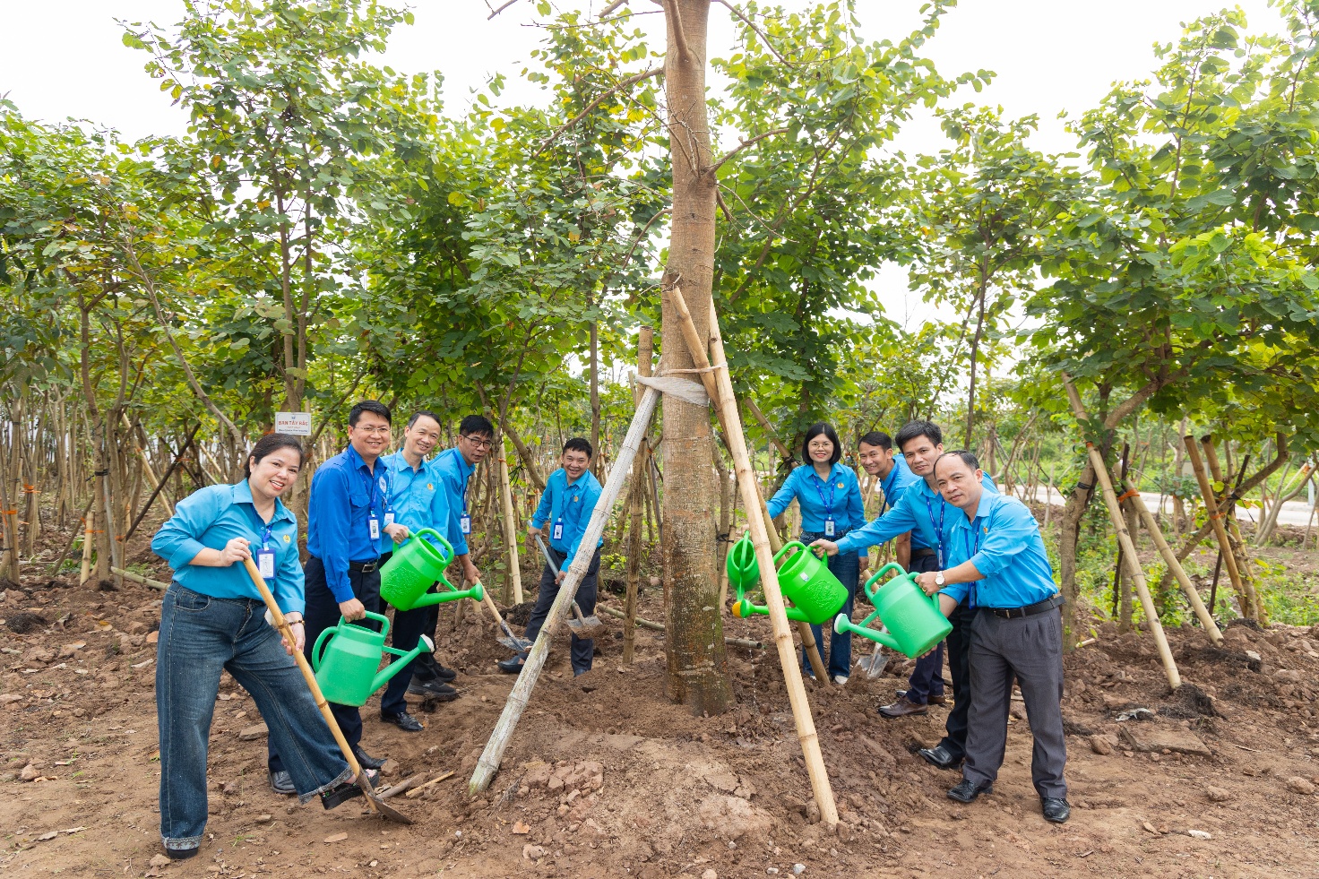 A group of people planting trees Description automatically generated