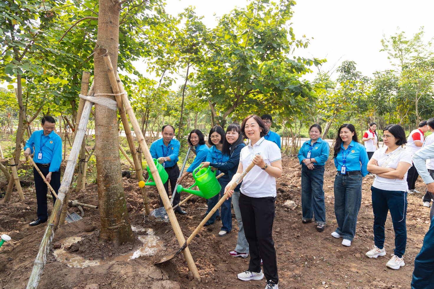A group of people planting trees Description automatically generated