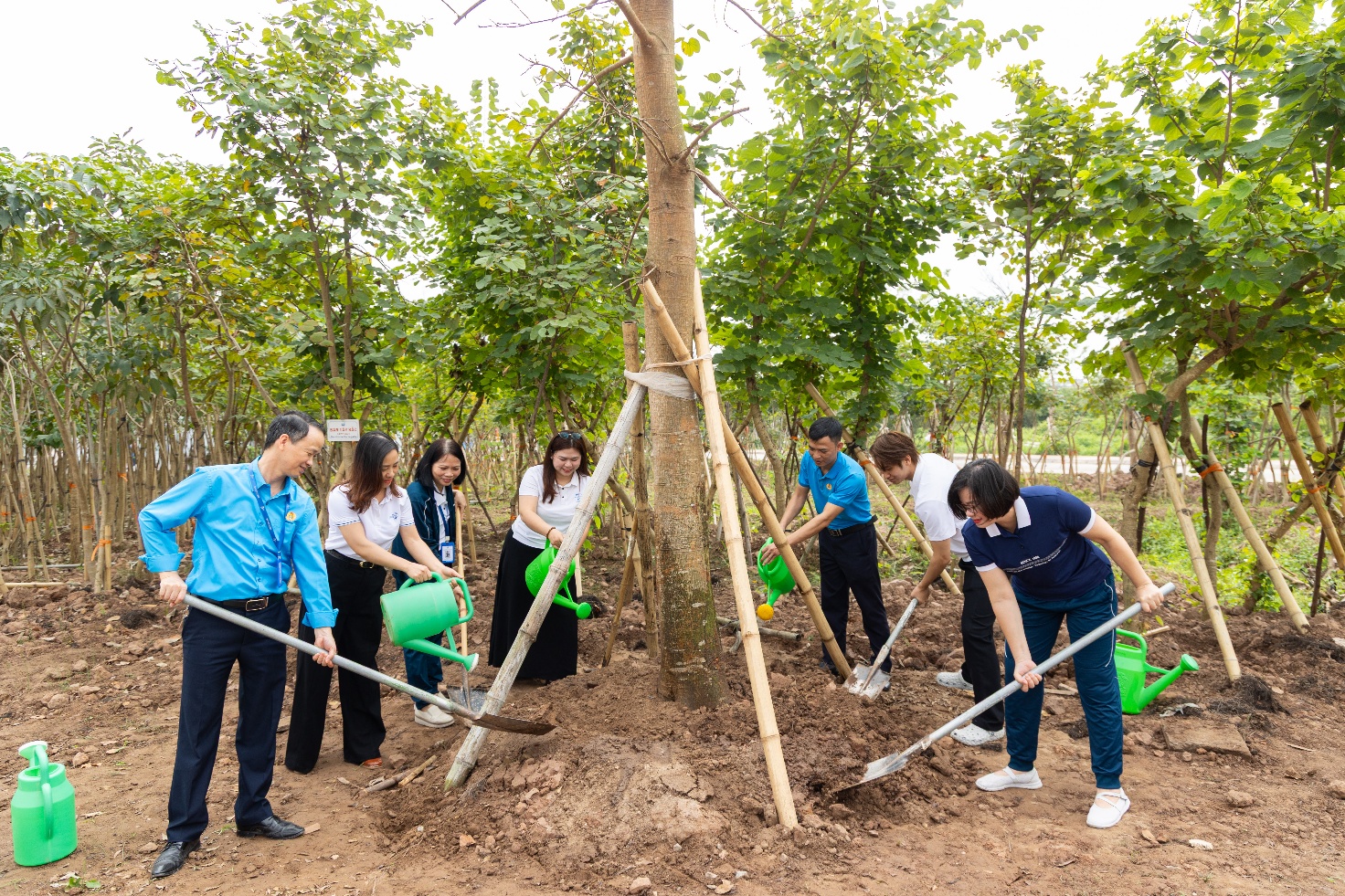 A group of people planting trees Description automatically generated