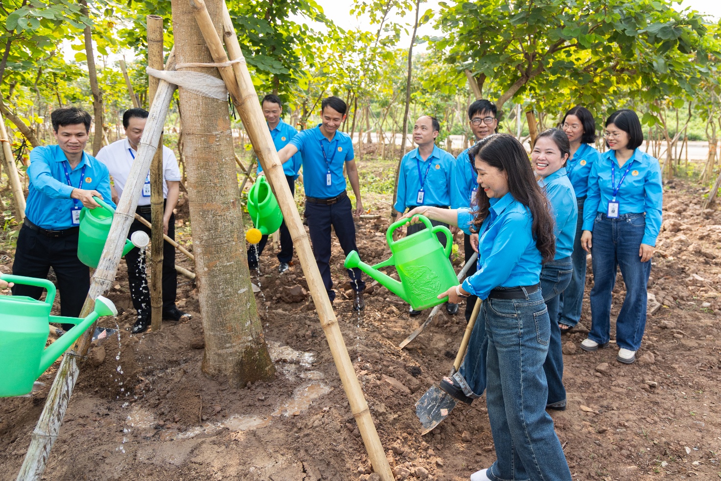 A group of people watering trees Description automatically generated
