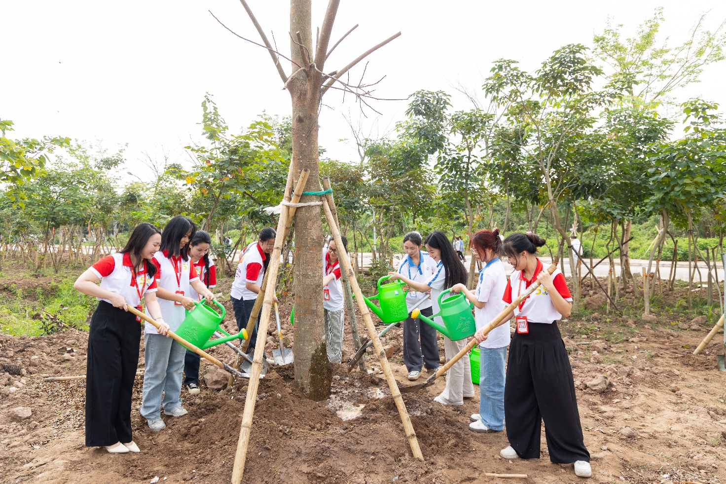 A group of people watering trees Description automatically generated